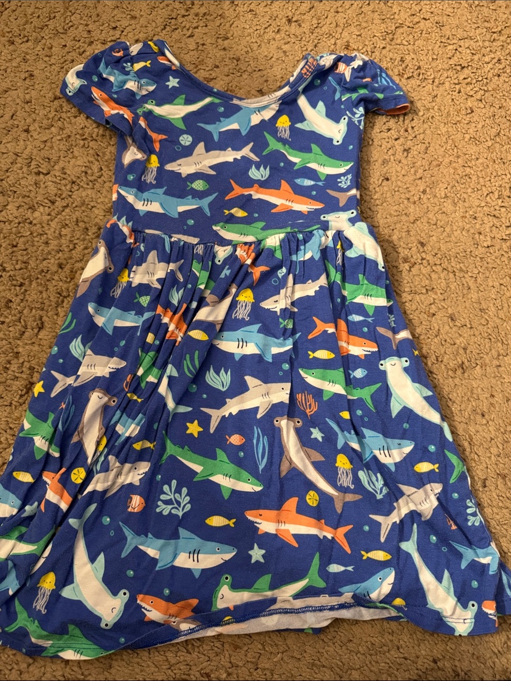 Little Sleepies Dress
